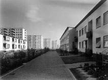 Reihenhäuser an der Karl-Lerbs-Straße; im Hintergrund achtgeschossige Scheibenhochhäuser